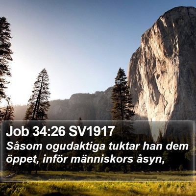 Job 34:26 SV1917 Bible Verse Image
