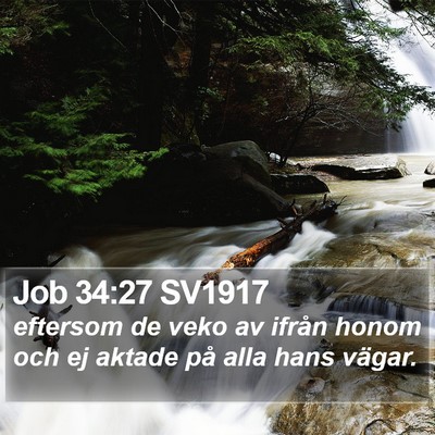 Job 34:27 SV1917 Bible Verse Image