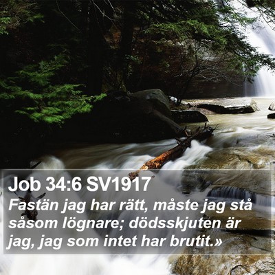 Job 34:6 SV1917 Bible Verse Image