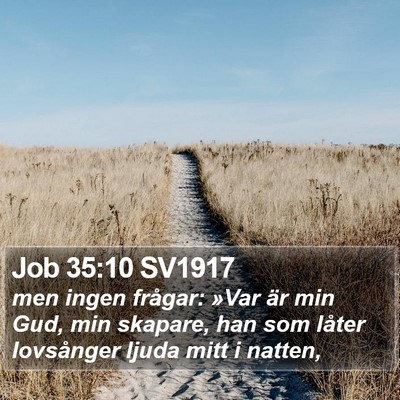 Job 35:10 SV1917 Bible Verse Image