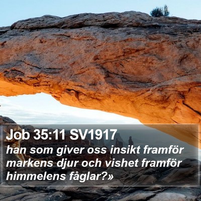 Job 35:11 SV1917 Bible Verse Image