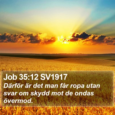 Job 35:12 SV1917 Bible Verse Image