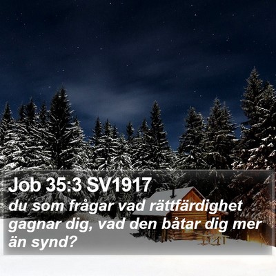 Job 35:3 SV1917 Bible Verse Image