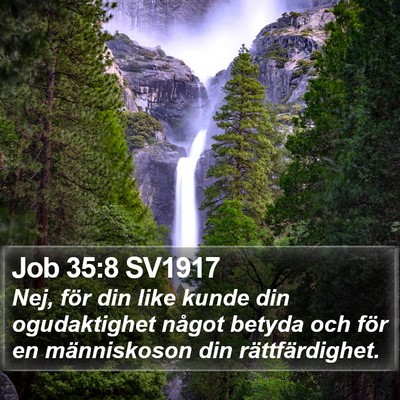 Job 35:8 SV1917 Bible Verse Image