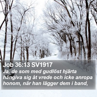 Job 36:13 SV1917 Bible Verse Image