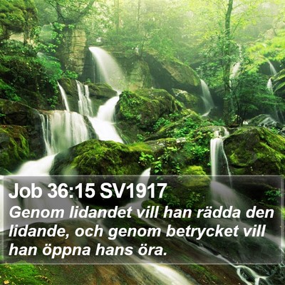 Job 36:15 SV1917 Bible Verse Image