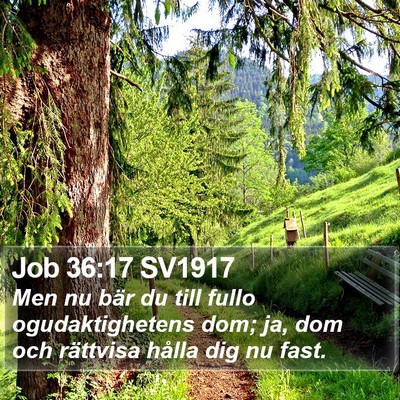 Job 36:17 SV1917 Bible Verse Image