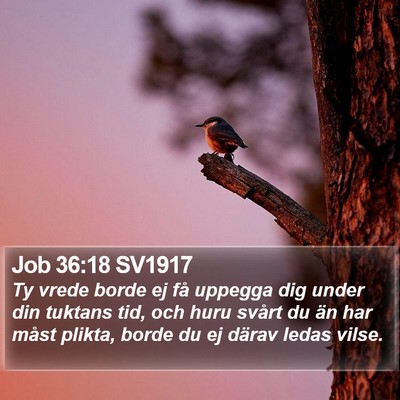 Job 36:18 SV1917 Bible Verse Image