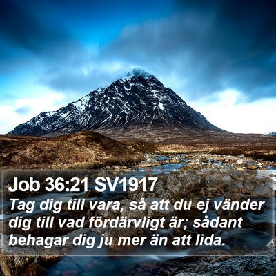 Job 36:21 SV1917 Bible Verse Image