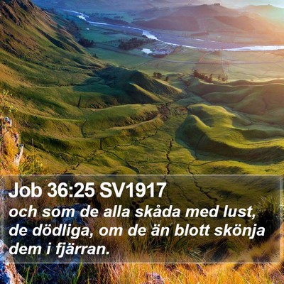 Job 36:25 SV1917 Bible Verse Image