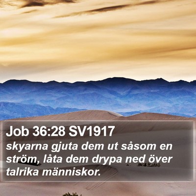 Job 36:28 SV1917 Bible Verse Image