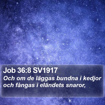 Job 36:8 SV1917 Bible Verse Image