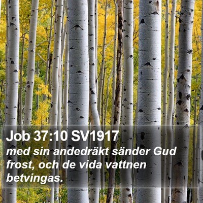 Job 37:10 SV1917 Bible Verse Image