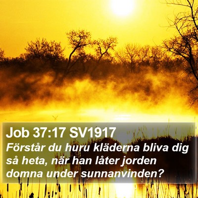 Job 37:17 SV1917 Bible Verse Image