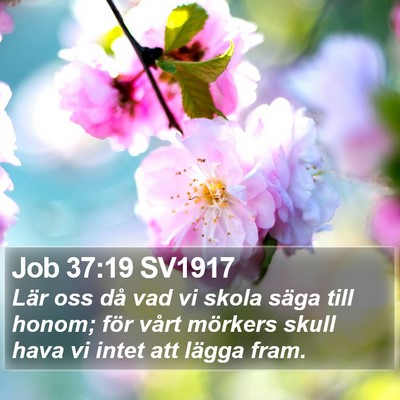 Job 37:19 SV1917 Bible Verse Image