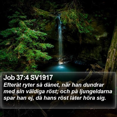 Job 37:4 SV1917 Bible Verse Image