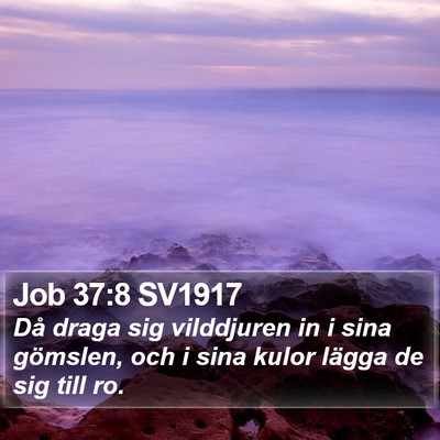 Job 37:8 SV1917 Bible Verse Image