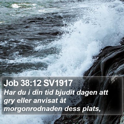 Job 38:12 SV1917 Bible Verse Image