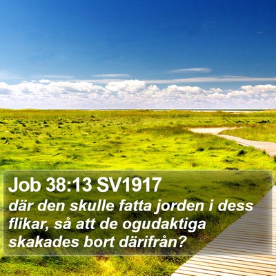 Job 38:13 SV1917 Bible Verse Image