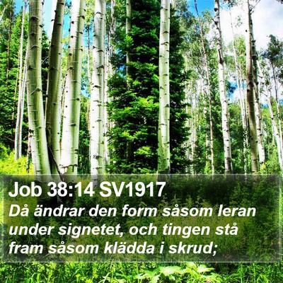Job 38:14 SV1917 Bible Verse Image