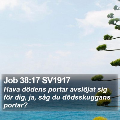Job 38:17 SV1917 Bible Verse Image