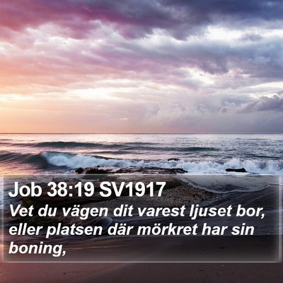 Job 38:19 SV1917 Bible Verse Image
