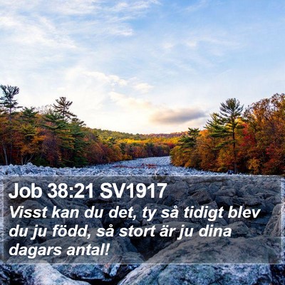 Job 38:21 SV1917 Bible Verse Image