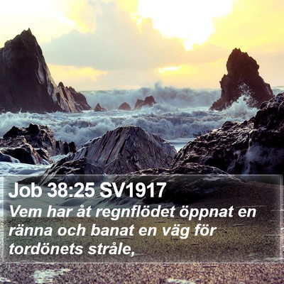 Job 38:25 SV1917 Bible Verse Image
