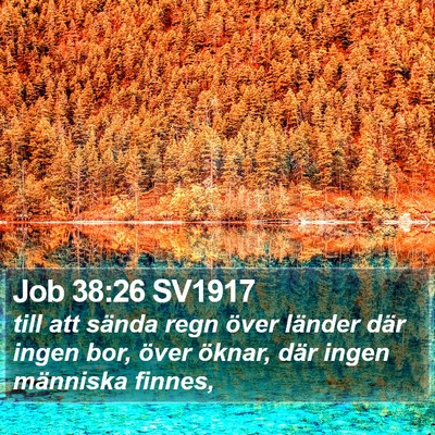 Job 38:26 SV1917 Bible Verse Image