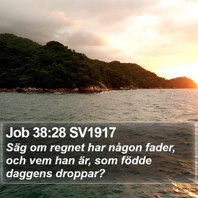 Job 38:28 SV1917 Bible Verse Image