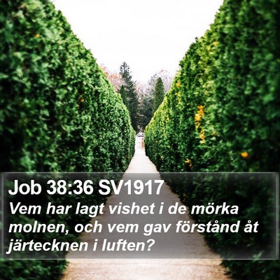 Job 38:36 SV1917 Bible Verse Image