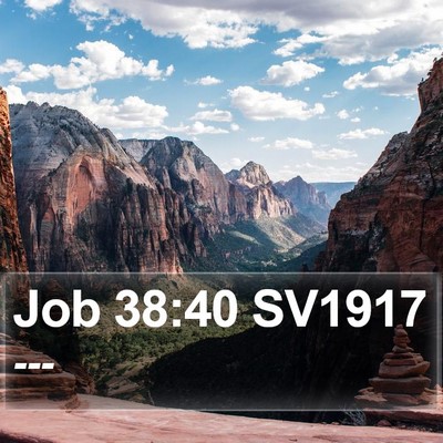 Job 38:40 SV1917 Bible Verse Image