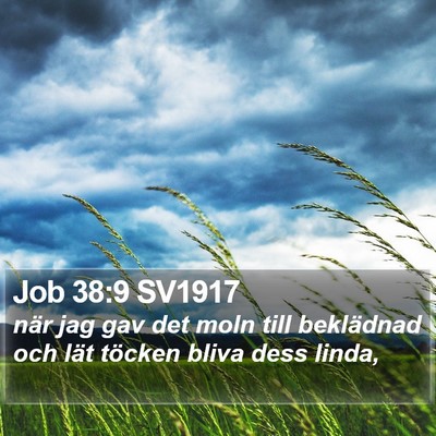 Job 38:9 SV1917 Bible Verse Image