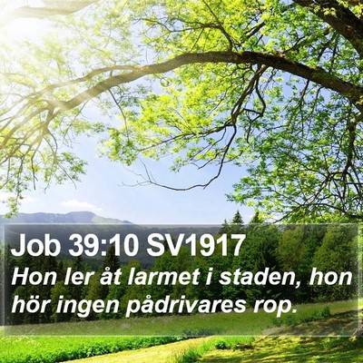 Job 39:10 SV1917 Bible Verse Image