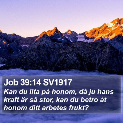 Job 39:14 SV1917 Bible Verse Image
