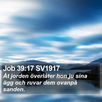Job 39:17 SV1917 Bible Verse Image