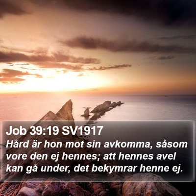 Job 39:19 SV1917 Bible Verse Image