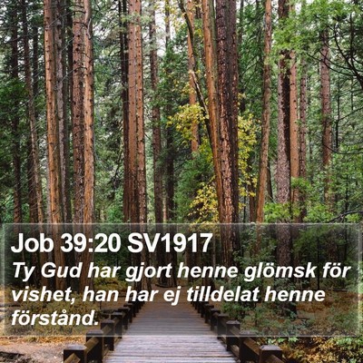 Job 39:20 SV1917 Bible Verse Image
