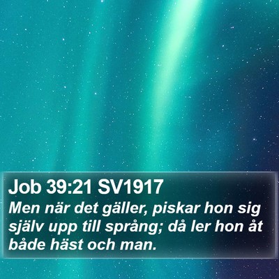 Job 39:21 SV1917 Bible Verse Image