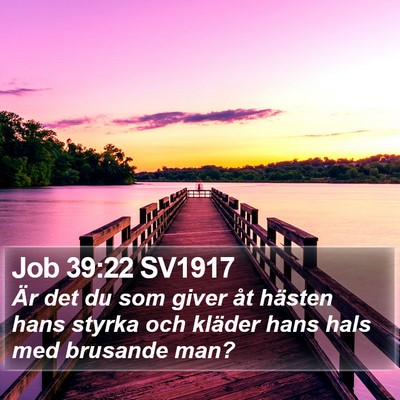 Job 39:22 SV1917 Bible Verse Image
