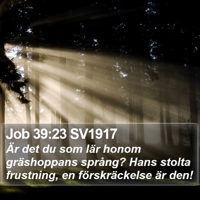 Job 39:23 SV1917 Bible Verse Image