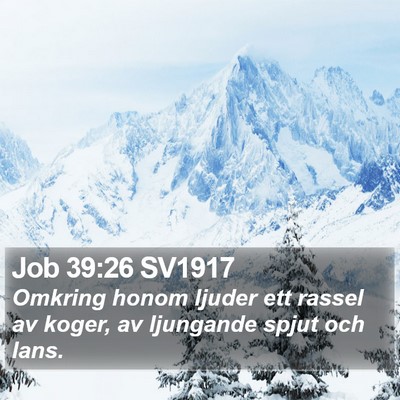 Job 39:26 SV1917 Bible Verse Image