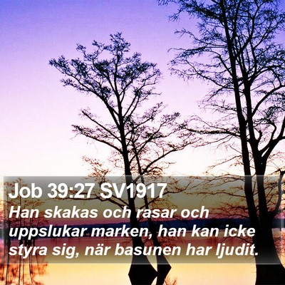 Job 39:27 SV1917 Bible Verse Image