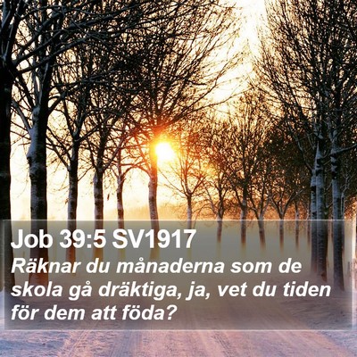 Job 39:5 SV1917 Bible Verse Image