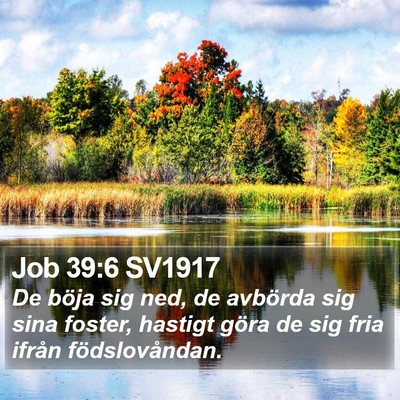 Job 39:6 SV1917 Bible Verse Image