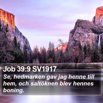Job 39:9 SV1917 Bible Verse Image
