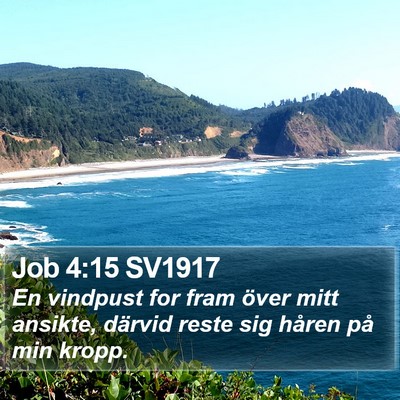 Job 4:15 SV1917 Bible Verse Image