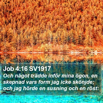 Job 4:16 SV1917 Bible Verse Image