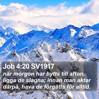 Job 4:20 SV1917 Bible Verse Image