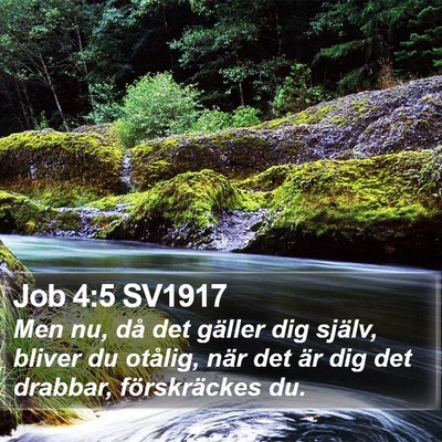 Job 4:5 SV1917 Bible Verse Image